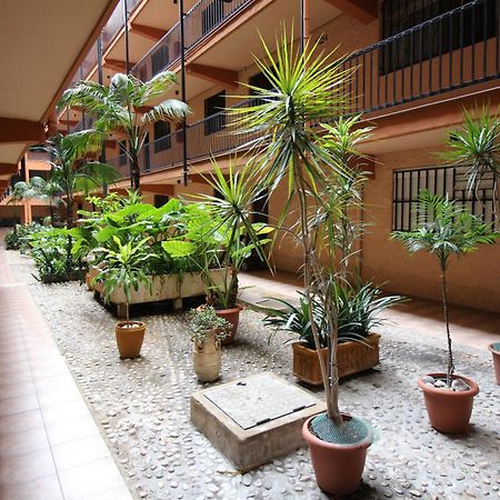 Apartamento Benidorm 3 Exteriör bild